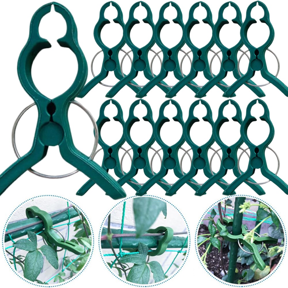 Gardening Tools For Vines - 50/10 adet bitki sebze desteği aşılama