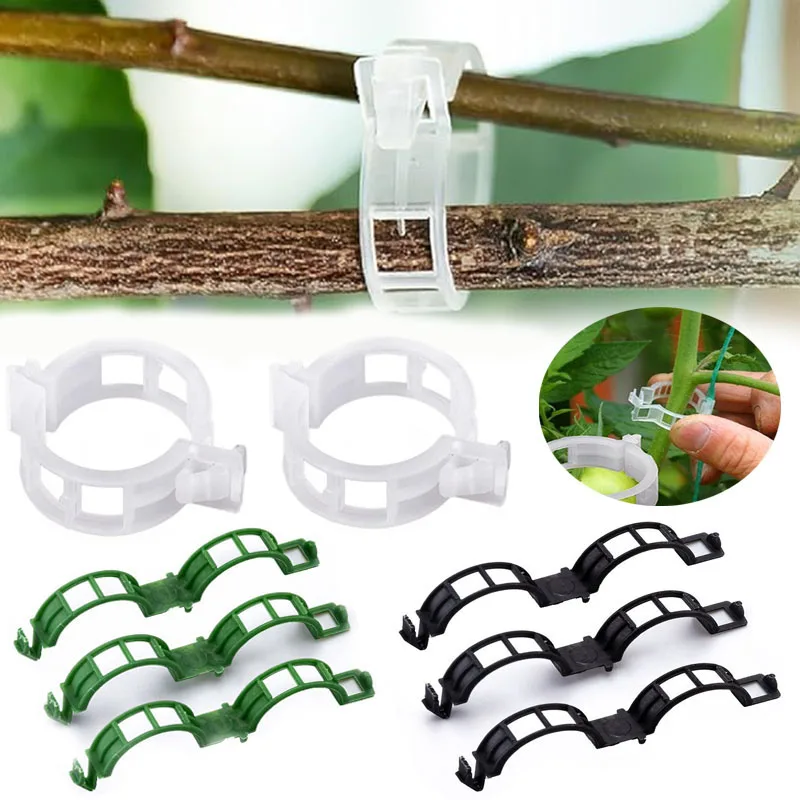 Gardening Tools For Vines - 100 adet bitki sabitleme klipleri yeniden