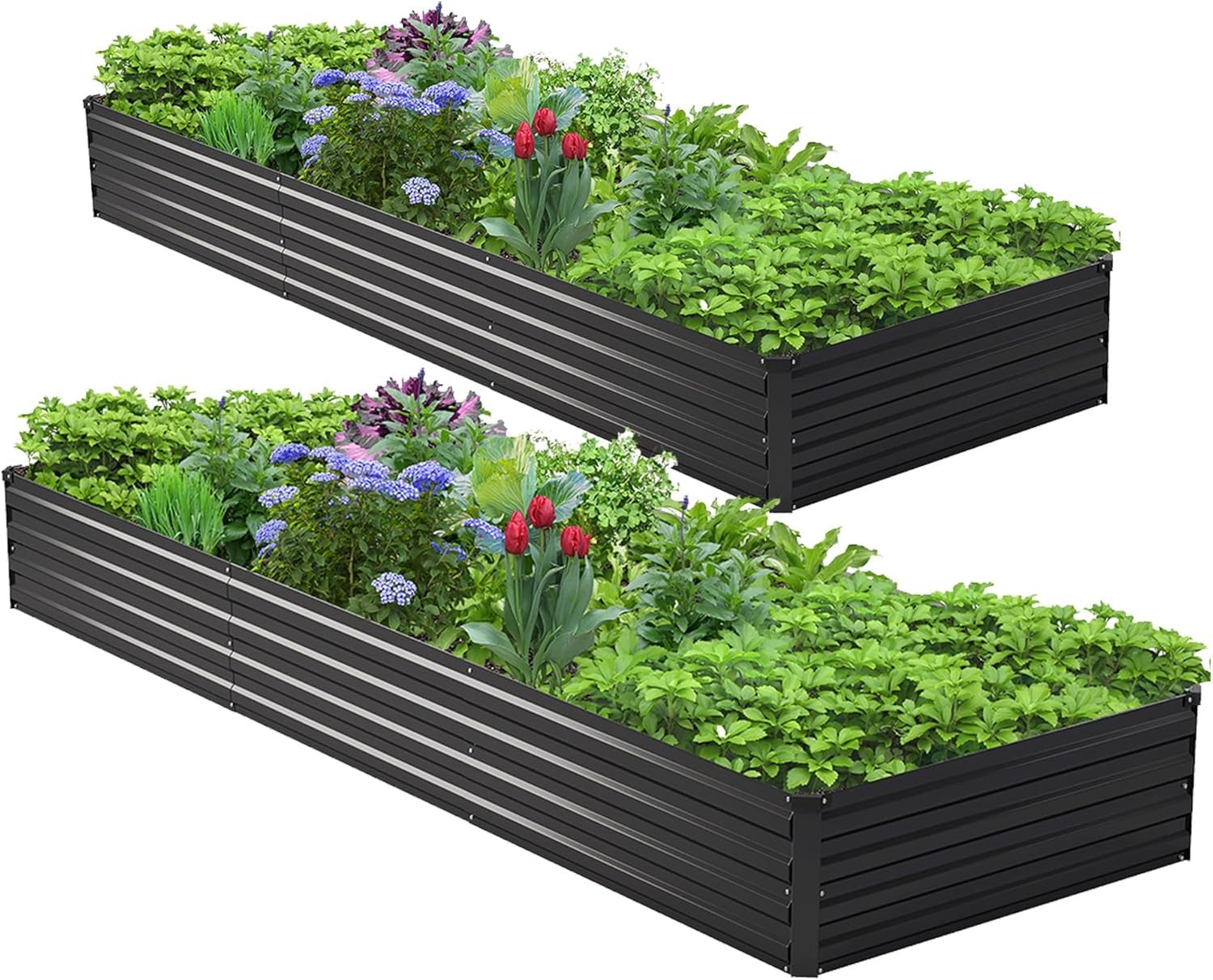 Raised Bed Planter Box - 2 ADET 10x3x1ft Galvanizli Yükseltilmiş Bahçe