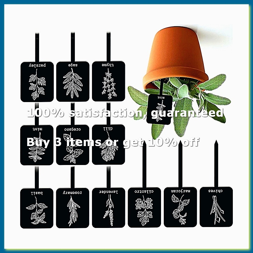 Gardening Tools Names - 24 Adet Akrilik Bitki Etiketleri 12