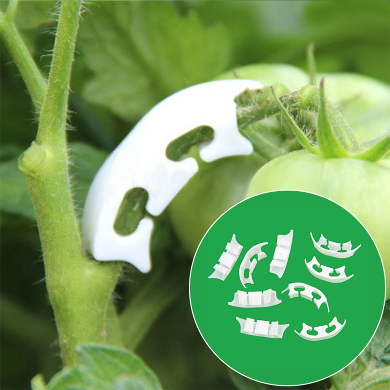 Gardening Tools For Vines - 50/100 adet Botany-kök asma çember klipleri