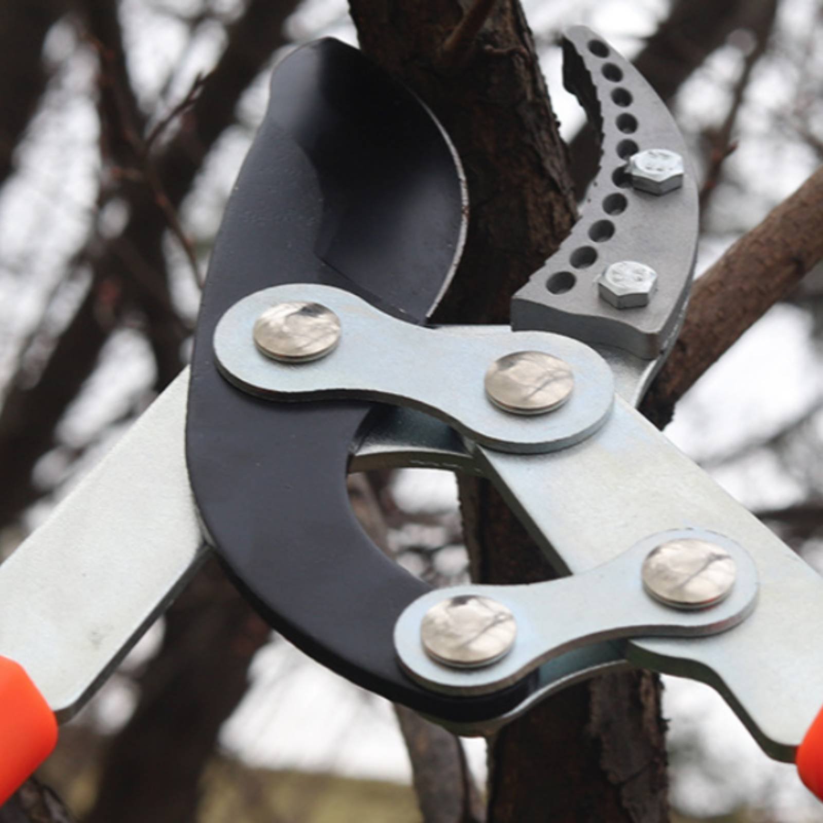 Gardening Tools Of - Teleskopik Dal Budama Makineleri Keskin Bıçaklı