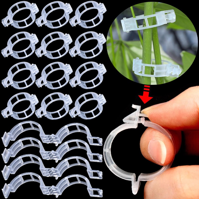 Gardening Tools For Vines - 300/50 adet bitki destek klipsleri yeniden