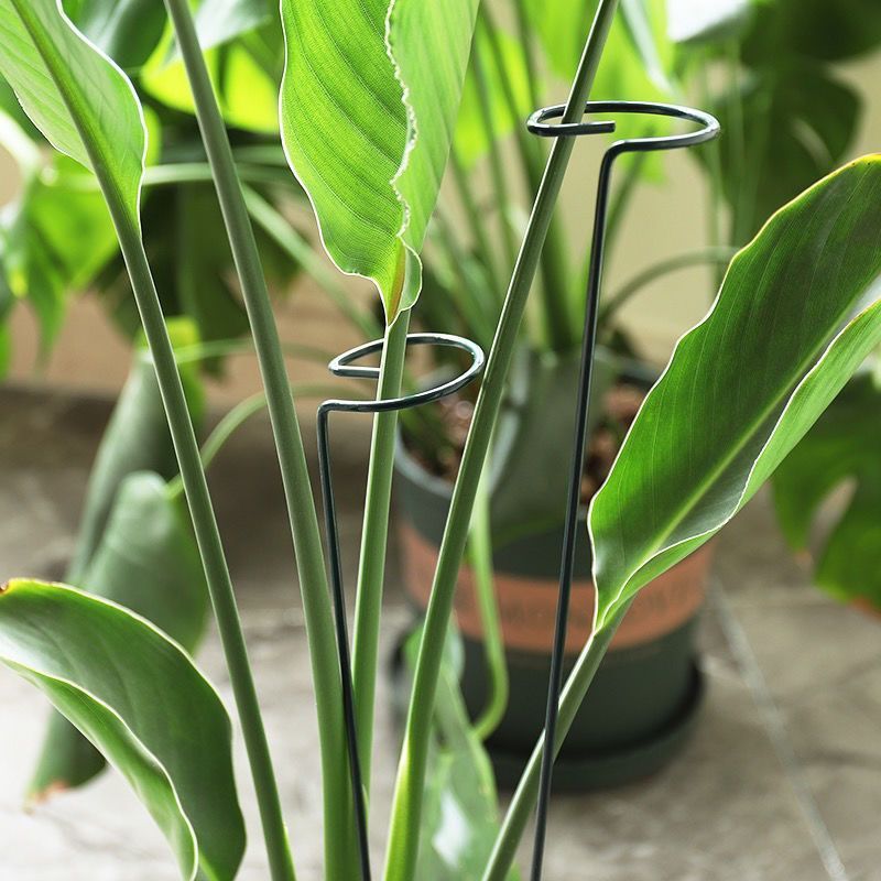 1/10 adet Bahçe Desteği Kazık  - Gardening Tools For Vines incelemesi ve fiyatı