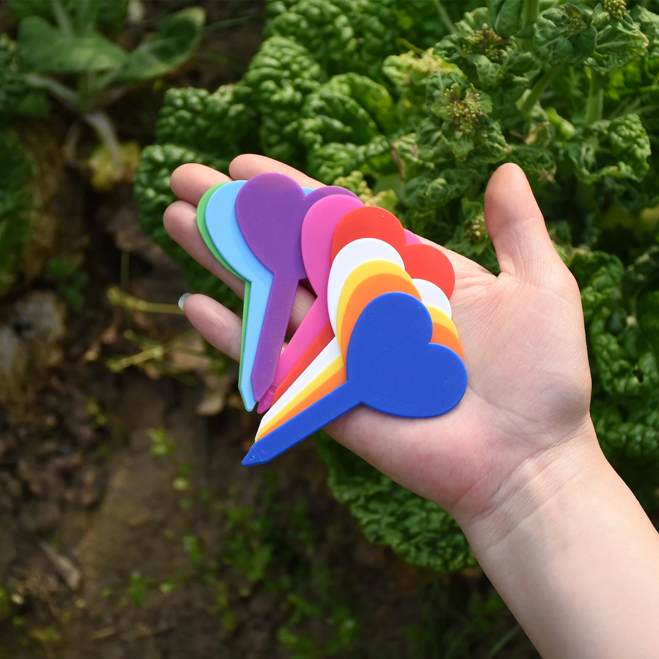 Yes50pcs Bahçe Plastik Etiketl - Gardening Tools Labeled incelemesi ve fiyatı