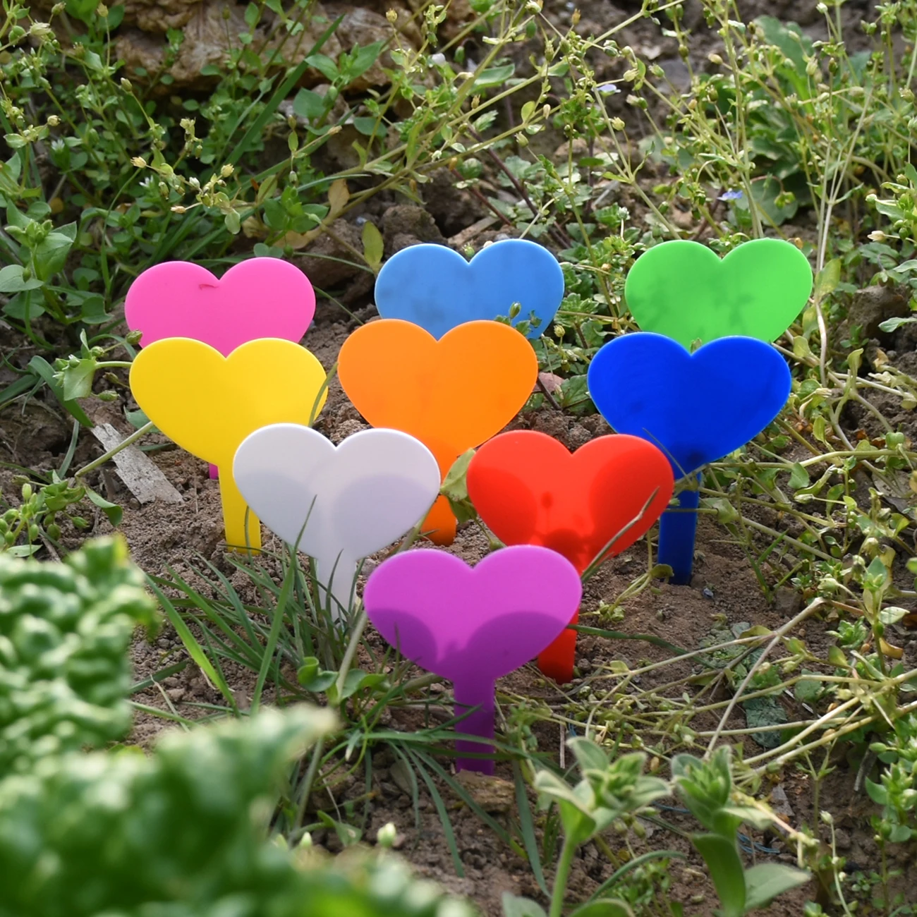 Yes50pcs Bahçe Plastik Etiketl - Gardening Tools Labeled incelemesi ve fiyatı