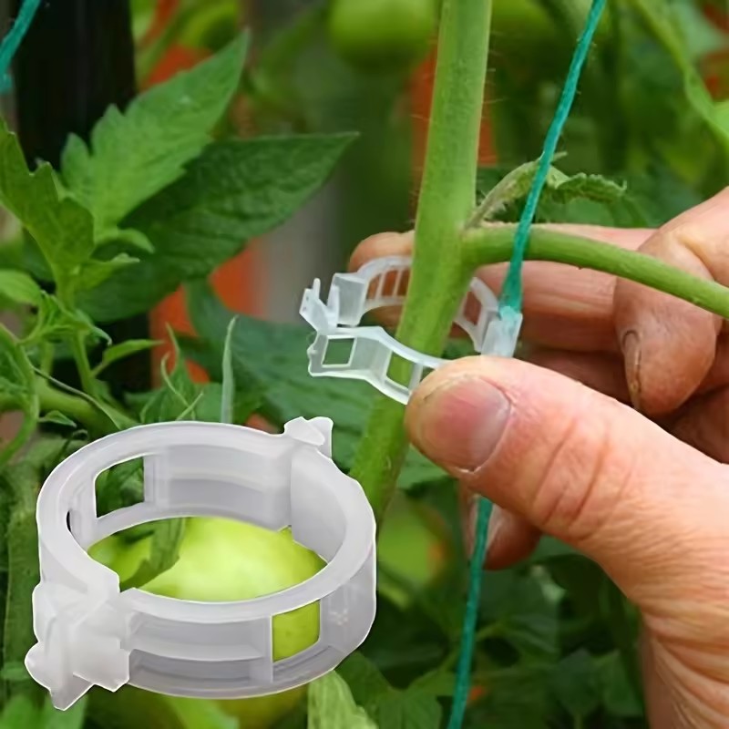 20 Adet Bitki Klipsi, Yeniden  - Gardening Tools For Vines incelemesi ve fiyatı