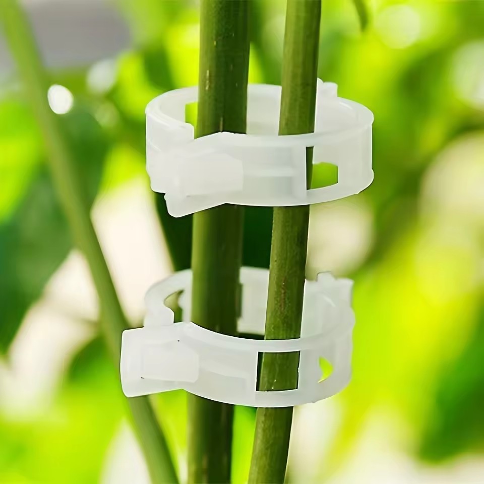 20 Adet Bitki Klipsi, Yeniden  - Gardening Tools For Vines incelemesi ve fiyatı