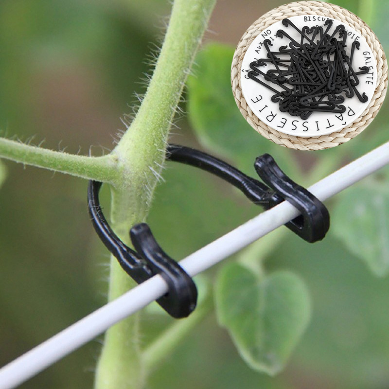 50 adet sarmaşıklar raptiye ba - Gardening Tools For Vines incelemesi ve fiyatı