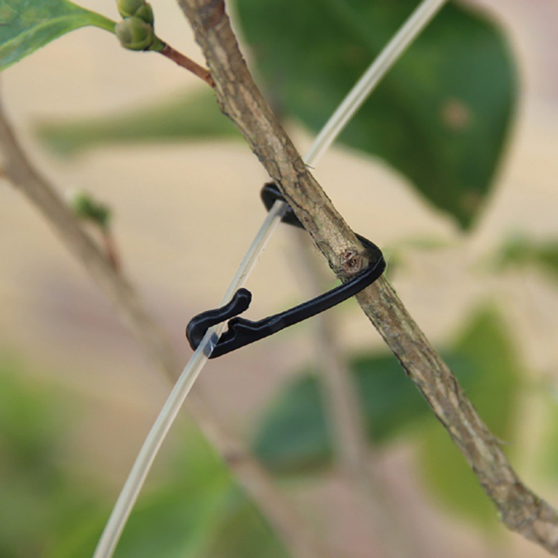 50 adet sarmaşıklar raptiye ba - Gardening Tools For Vines incelemesi ve fiyatı