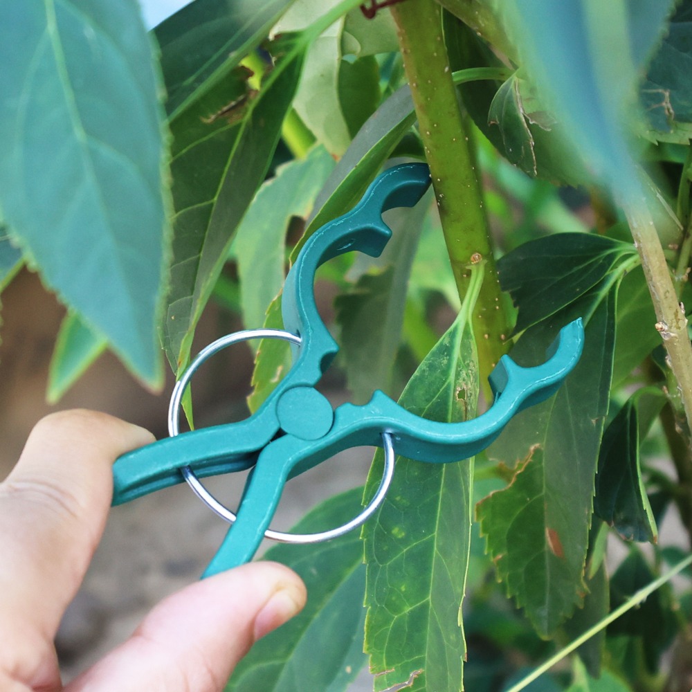 50/10 adet bitki sebze desteği - Gardening Tools For Vines incelemesi ve fiyatı