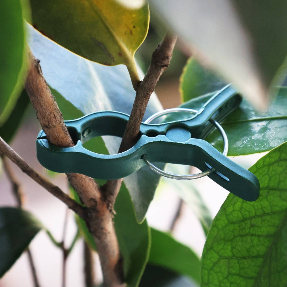 50/10 adet bitki sebze desteği - Gardening Tools For Vines incelemesi ve fiyatı
