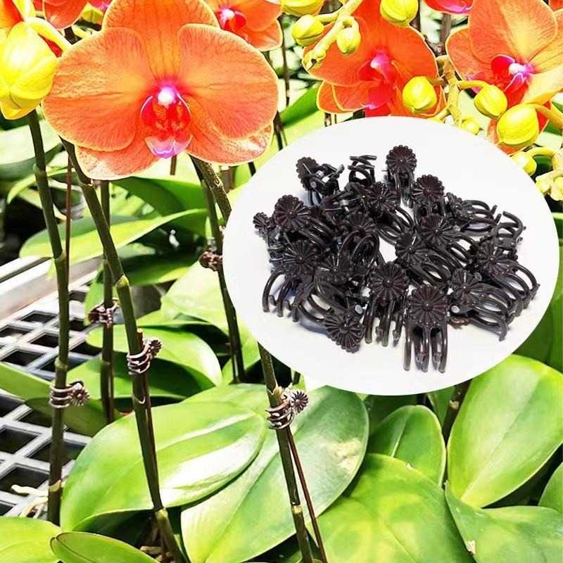 Toptan Mini Bitki Destek Klips - Gardening Tools For Vines incelemesi ve fiyatı