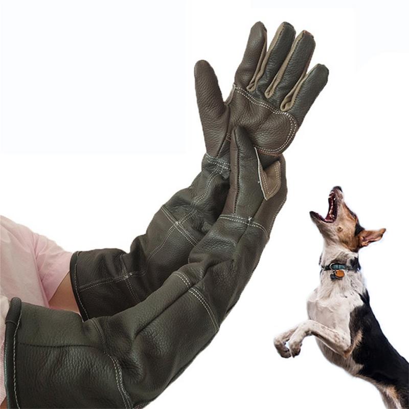 Pet eldiven inek derisi deri a - Gardening Tools Gloves incelemesi ve fiyatı