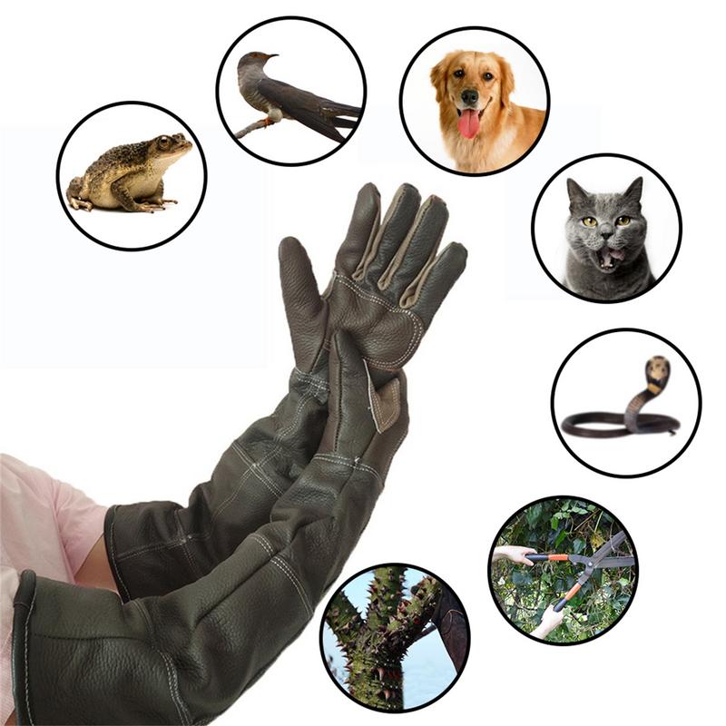 Pet eldiven inek derisi deri a - Gardening Tools Gloves incelemesi ve fiyatı