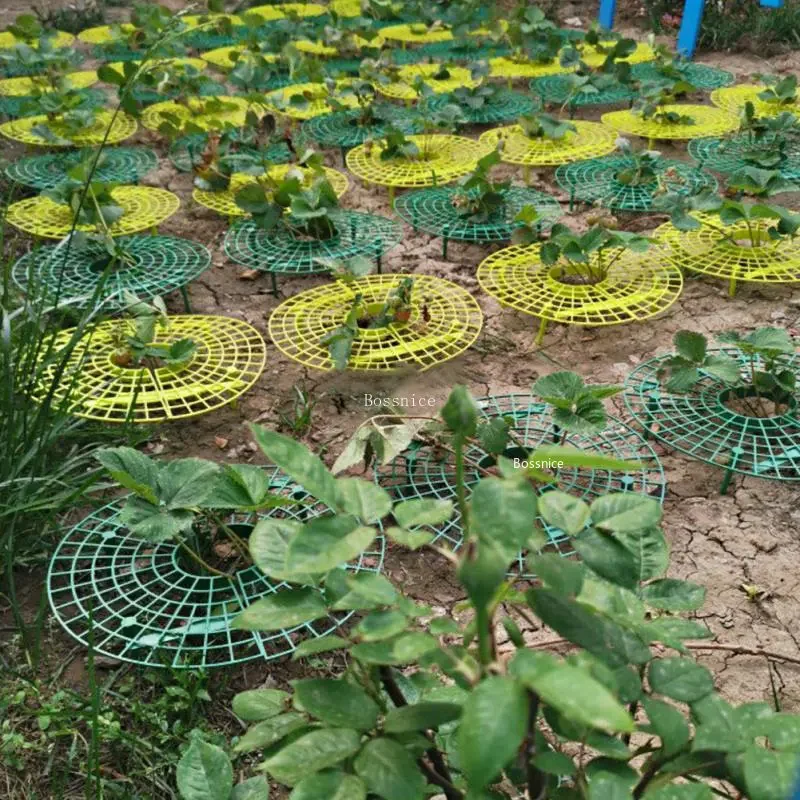 1 Adet Çilek Bitkisi Destek Ra - Gardening Tools For Vines incelemesi ve fiyatı