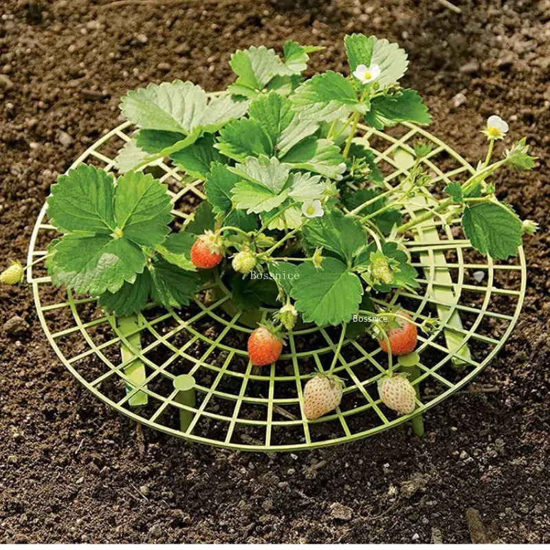 1 Adet Çilek Bitkisi Destek Ra - Gardening Tools For Vines incelemesi ve fiyatı