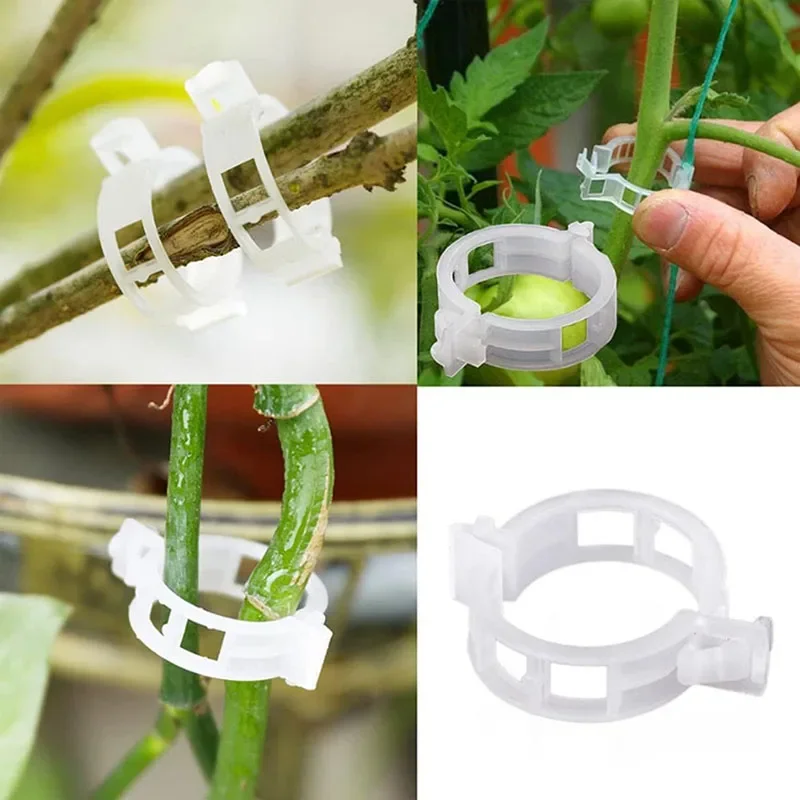 100 adet bitki sabitleme klipl - Gardening Tools For Vines incelemesi ve fiyatı