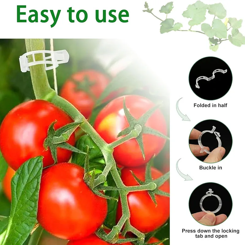 100 adet bitki sabitleme klipl - Gardening Tools For Vines incelemesi ve fiyatı