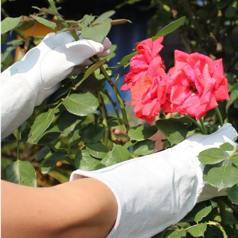 Bir Çift Bahçe Eldiveni, Diken - Gardening Tools Gloves incelemesi ve fiyatı