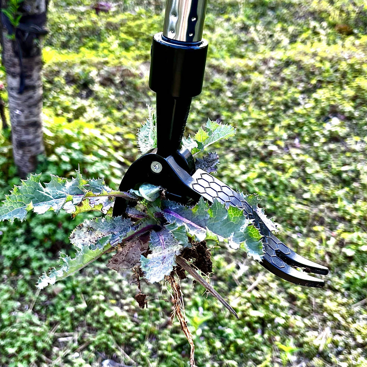 İşgücü Tasarrufu El Metal Ot Ç - Gardening Tools You Need incelemesi ve fiyatı