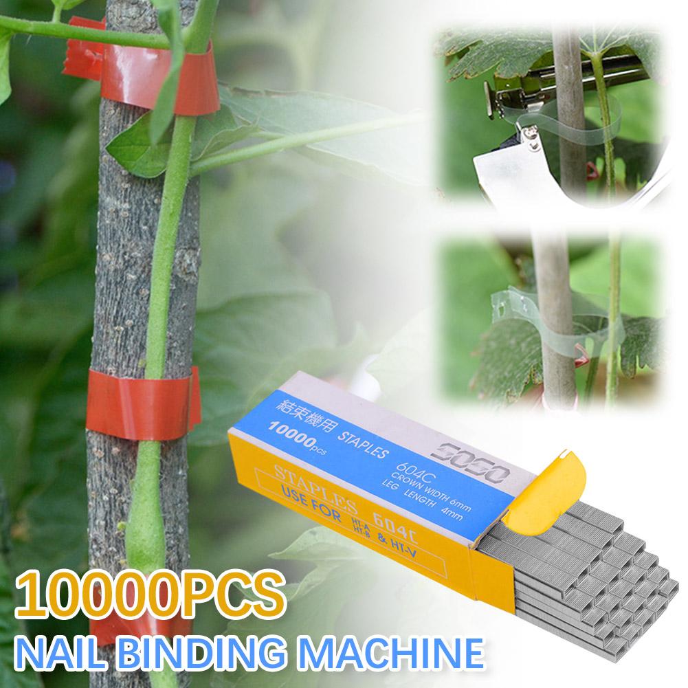 10000 adet Tapetool Tapener Ba - Gardening Tools For Vines incelemesi ve fiyatı