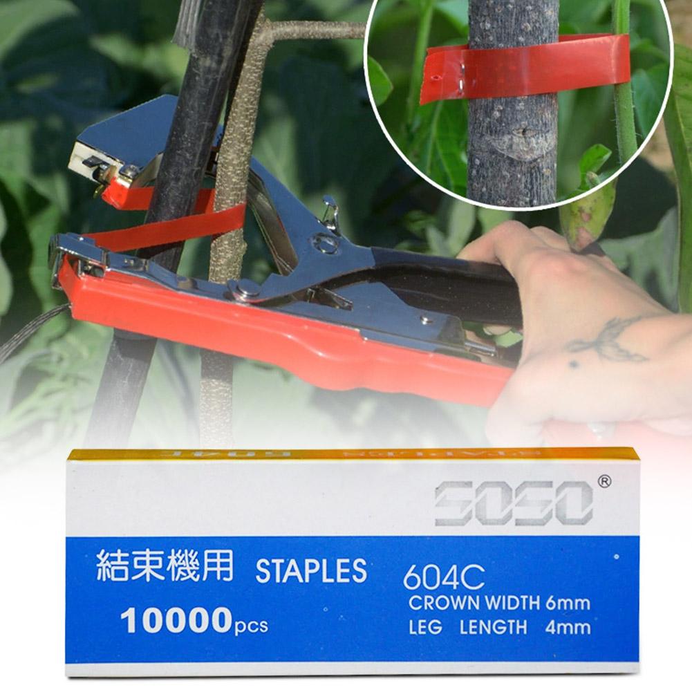 10000 adet Tapetool Tapener Ba - Gardening Tools For Vines incelemesi ve fiyatı