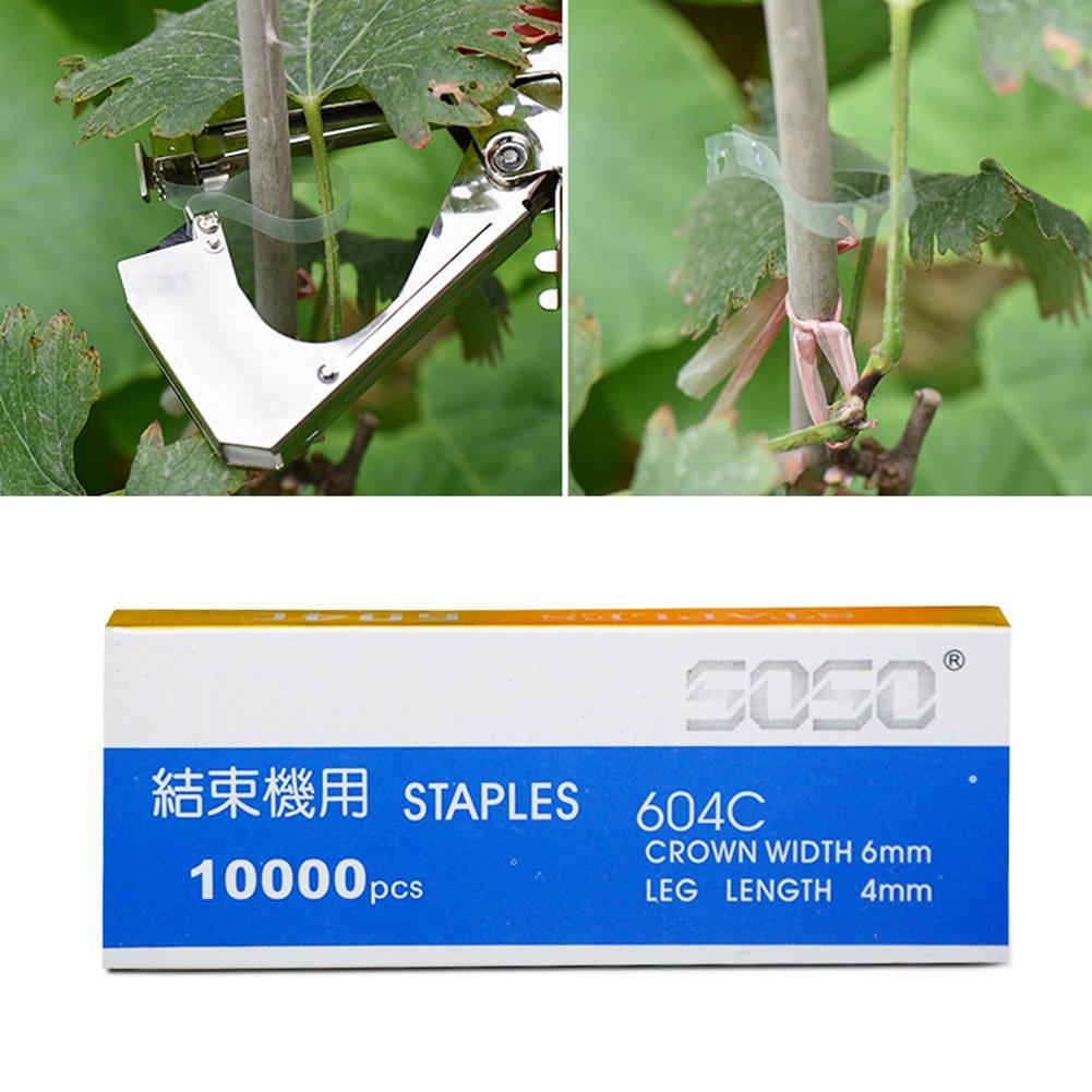 10000 adet Tapetool Tapener Ba - Gardening Tools For Vines incelemesi ve fiyatı