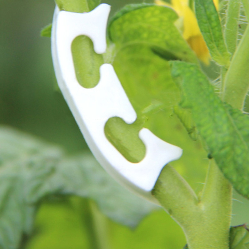 50/100 adet Botany-kök asma çe - Gardening Tools For Vines incelemesi ve fiyatı