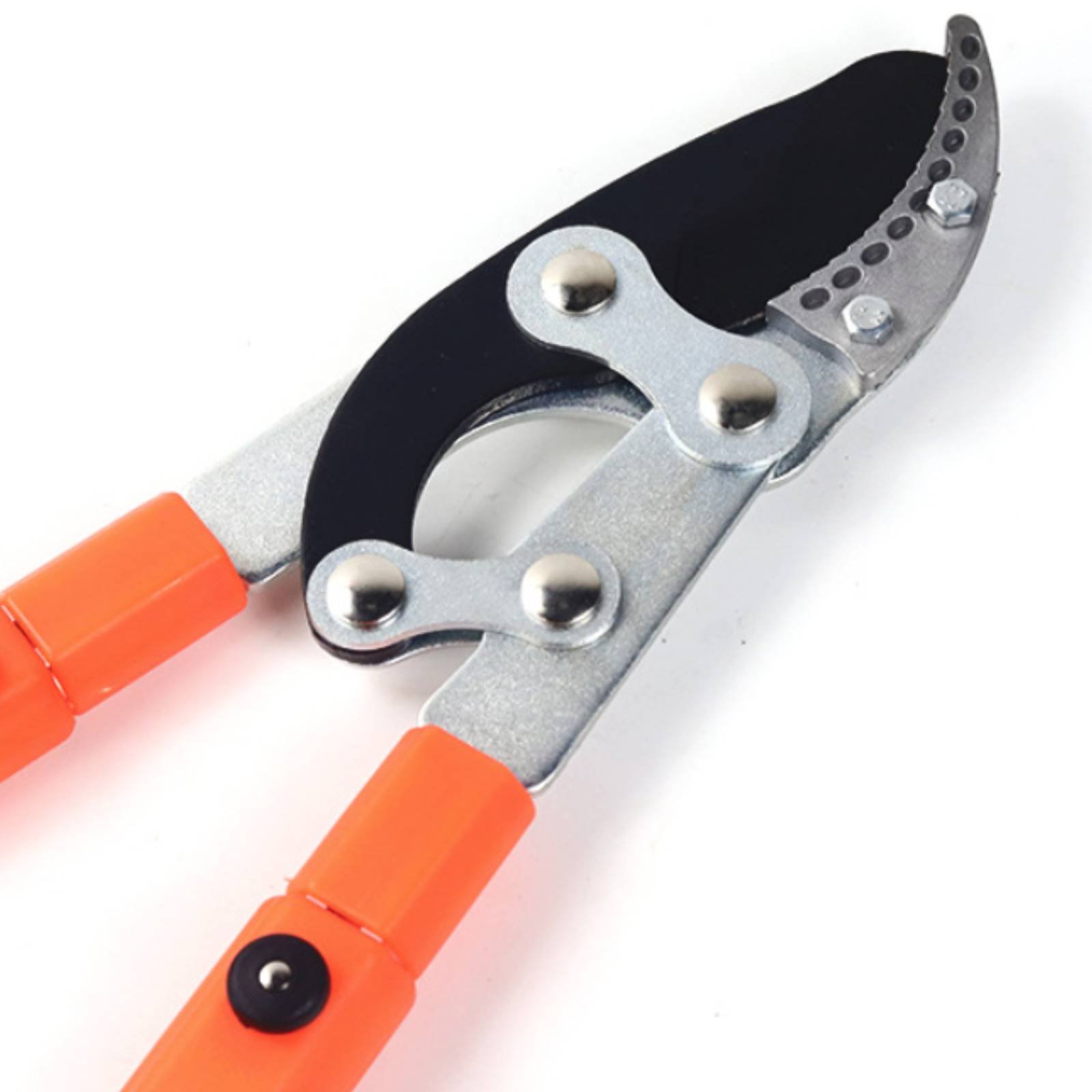 Teleskopik Dal Budama Makinele - Gardening Tools Of incelemesi ve fiyatı