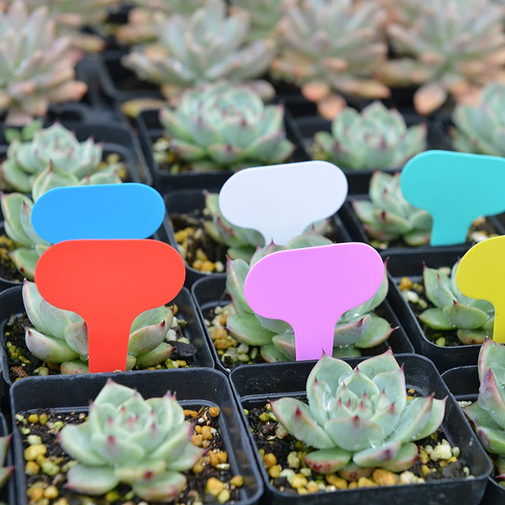 Yes50PCS Bahçe 5x7CM Bitki Eti - Gardening Tools Labeled incelemesi ve fiyatı
