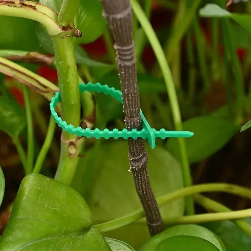 Yeniden Kullanılabilir Bahçe K - Gardening Tools For Vines incelemesi ve fiyatı