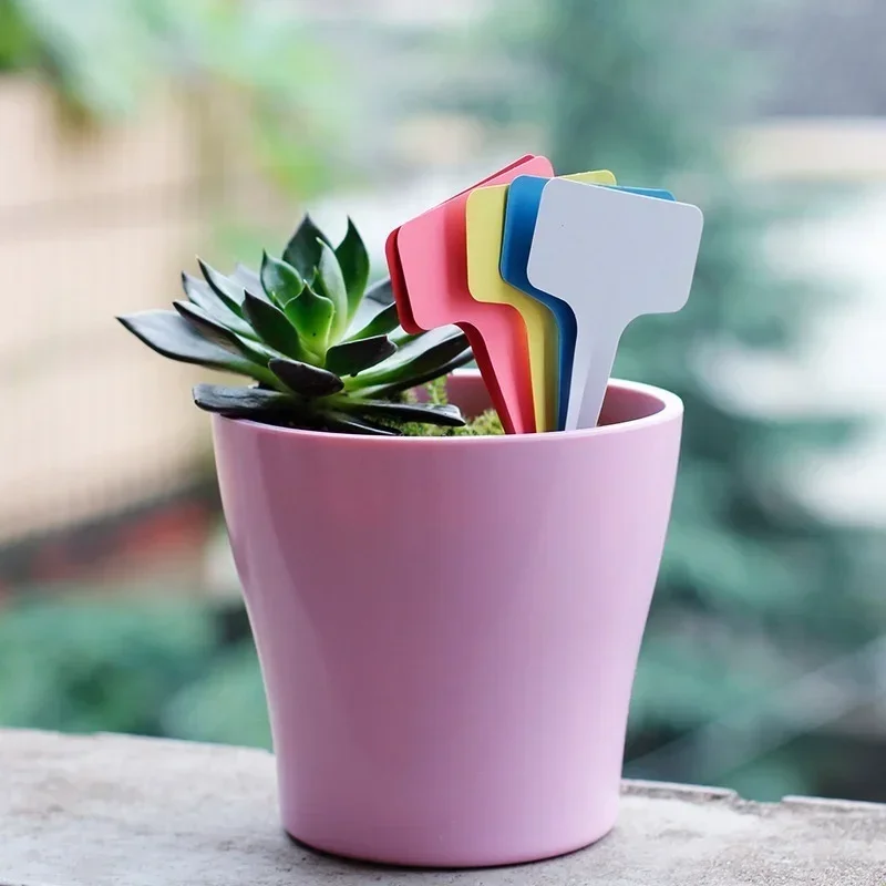 20 adet Plastik Su Geçirmez Bi - Gardening Tools Names incelemesi ve fiyatı