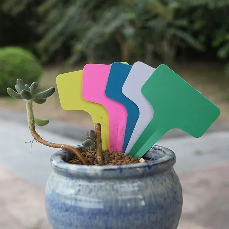 20 adet Plastik Su Geçirmez Bi - Gardening Tools Names incelemesi ve fiyatı