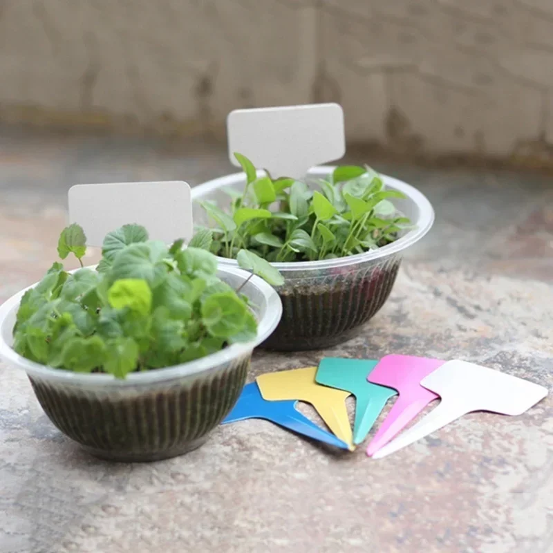 20 adet Plastik Su Geçirmez Bi - Gardening Tools Names incelemesi ve fiyatı