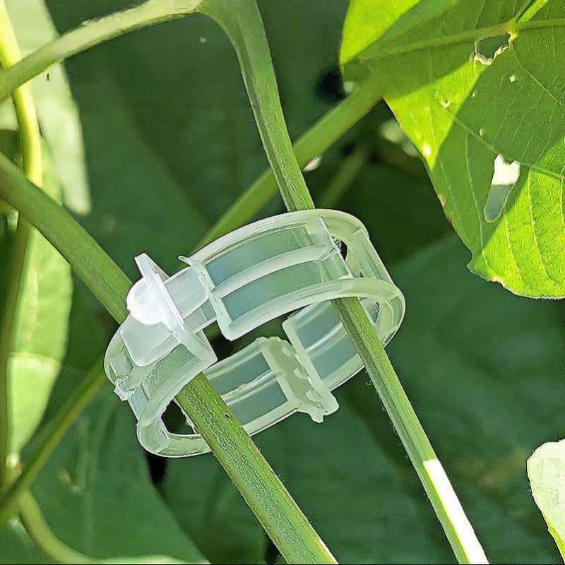 300/50 adet bitki destek klips - Gardening Tools For Vines incelemesi ve fiyatı