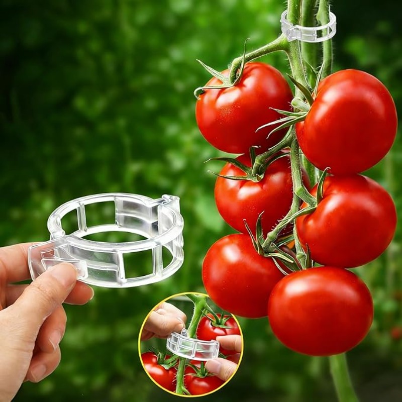 300/50 adet bitki destek klips - Gardening Tools For Vines incelemesi ve fiyatı